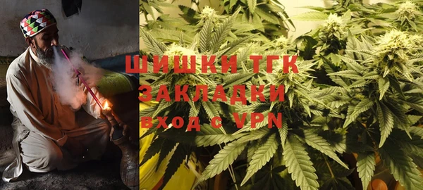крисы Аркадак