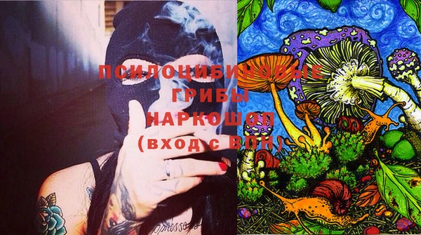 крисы Аркадак