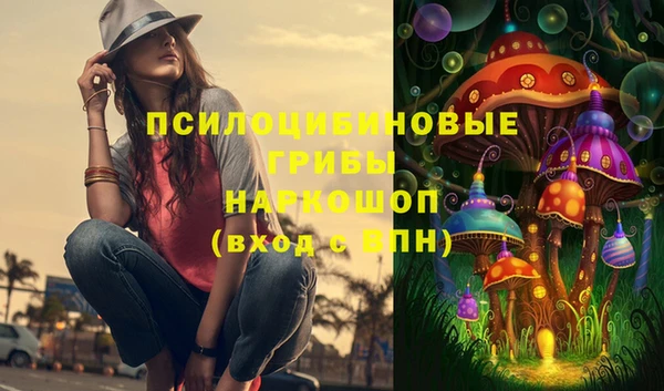 крисы Аркадак
