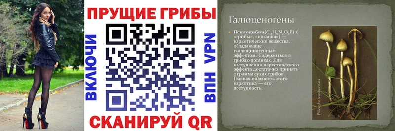 Галлюциногенные грибы мухоморы  Старица 